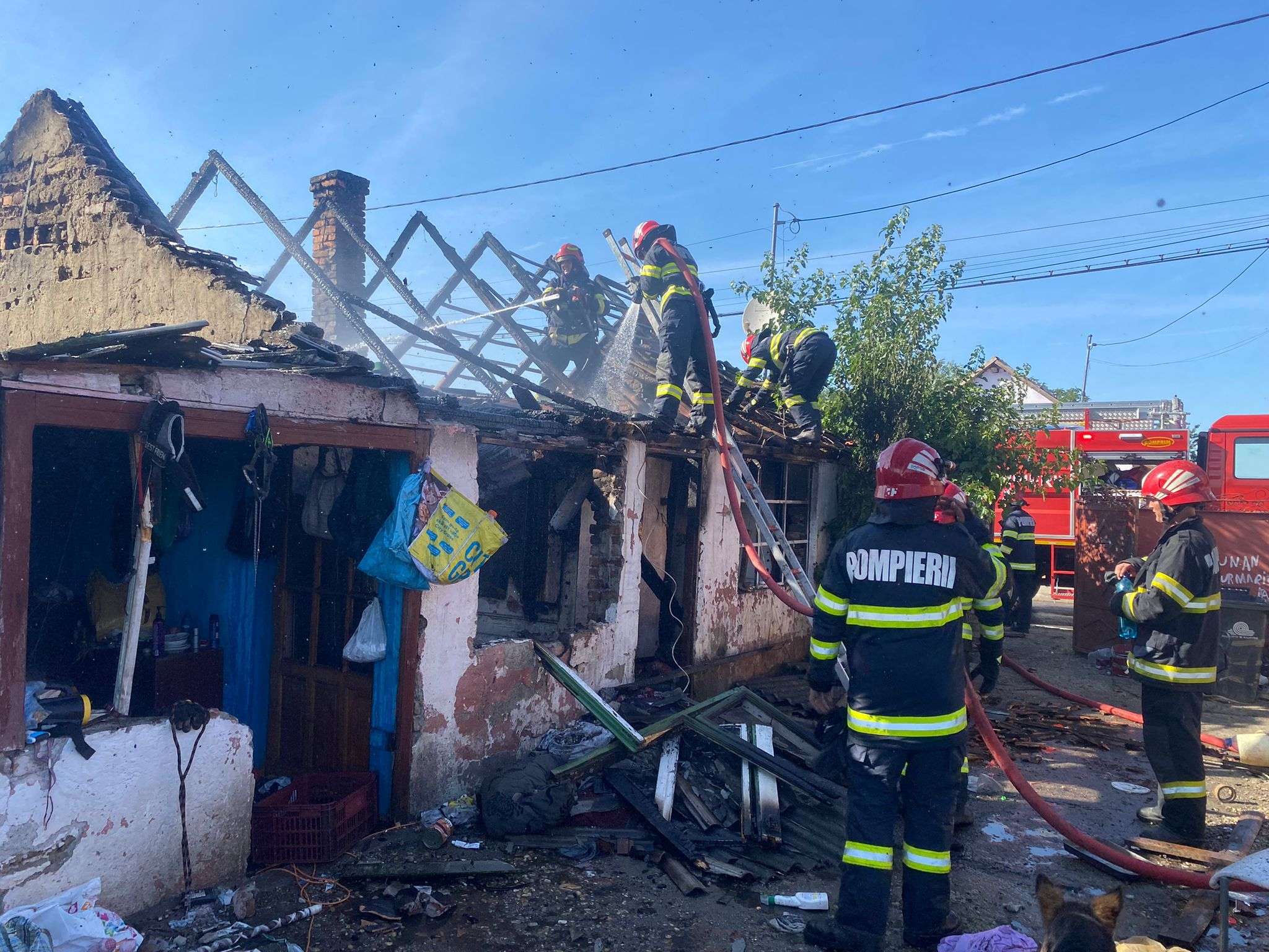 Incendiu la o casă pe strada Tarafului. Pompierii au salvat trei câini superbi
