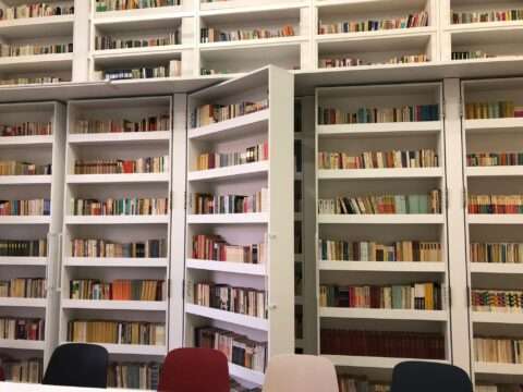 Biblioteca-Stefan-Augustin-Doinas-Moise-Nicoara